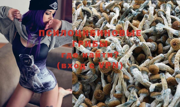 дживик Балахна