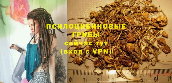 соль ск Аркадак
